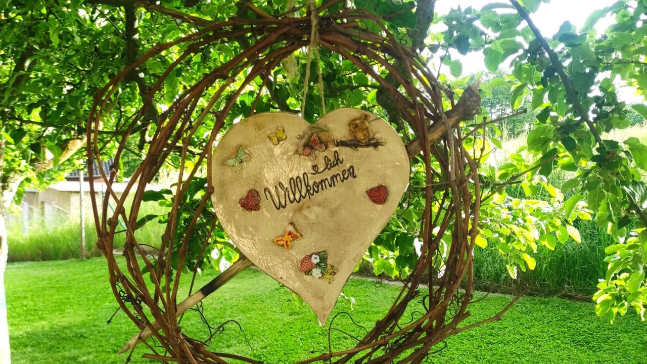 IMG-20250609-WA0004 IMG-20250609-WA0004